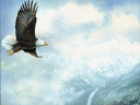 Eagle soaring in blue sky with mountains in background